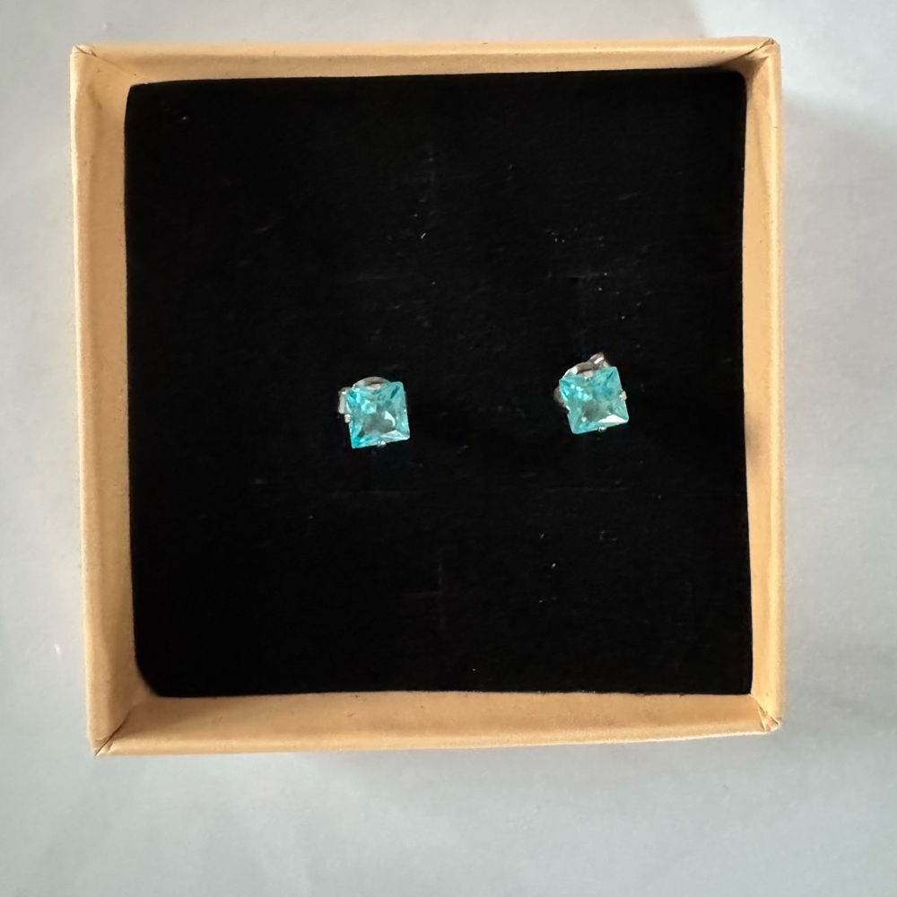 Elegant Silver and Blue Stud Earrings